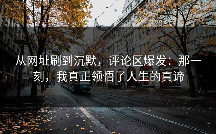 从网址刷到沉默，评论区爆发：那一刻，我真正领悟了人生的真谛