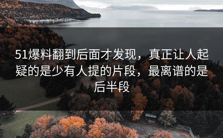 51爆料翻到后面才发现，真正让人起疑的是少有人提的片段，最离谱的是后半段