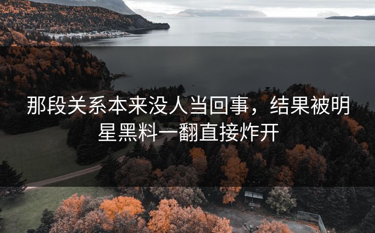 那段关系本来没人当回事，结果被明星黑料一翻直接炸开